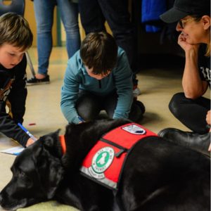 Pawsitive lessons in social-emotional learning